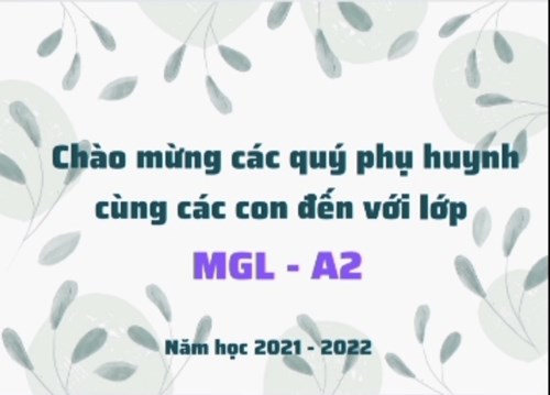 Video giới thiệu nhóm lớp MGL A2